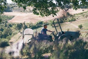 Frisør Ego | Vi vælger Organic Way - Derfor skal du vælge os